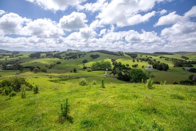 /international/nz/448-komokoriki-hill-road-makarau-auckland-380119816097/