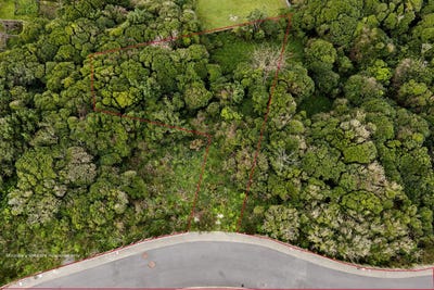 /international/nz/13-ara-paekawakawa-island-bay-wellington-380119831095/