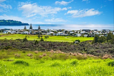 /international/nz/mangatawhiri-road-omaha-auckland-380119830631/
