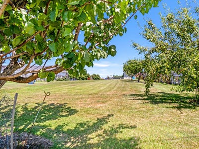 /international/nz/36-shakespeare-road-bastia-hill-manawatu-whanganui-380119826672/