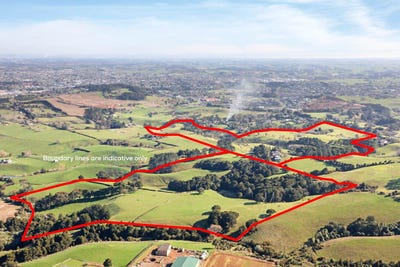 /international/nz/140-pukekohe-east-road-pukekohe-auckland-380119856126/