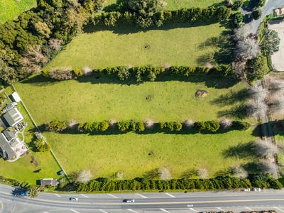 /international/nz/521-state-highway-1-kauri-northland-380119869526/