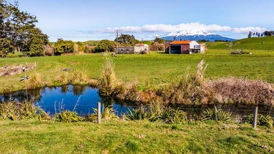 /international/nz/86-manganui-road-sections-stratford-taranaki-380119833050/