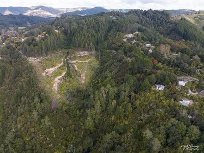 /international/nz/173-blue-mountains-road-blue-mountains-wellington-380119806851/