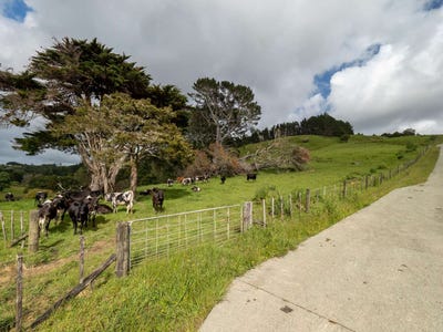 /international/nz/450-komokoriki-hill-road-makarau-auckland-380119848798/