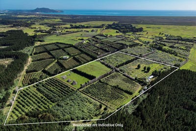 /international/nz/101-turk-valley-road-awanui-northland-380119816365/