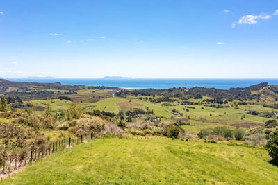 /international/nz/manunui-coastal-estate-pakiri-auckland-380119806414/