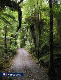 /international/nz/betsey-jane-eatery-bar-fox-glacier-west-coast-380119831178/