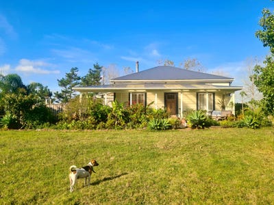 /international/nz/290-notorious-west-road-dargaville-northland-380119810614/