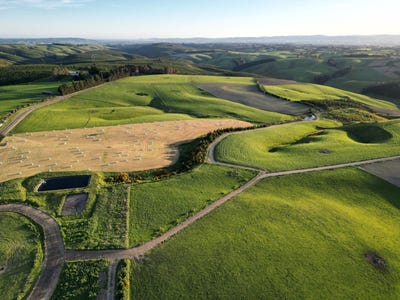 /international/nz/17-tongue-road-balclutha-otago-380119984301/