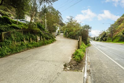 /international/nz/344-ohiro-road-brooklyn-wellington-380119805594/