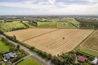 /international/nz/98-leadleys-road-halswell-canterbury-380119826462/