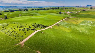 /international/nz/414-glenn-settlement-road-north-otago-otago-380119963219/