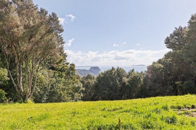 /international/nz/62c-hill-road-palm-beach-auckland-380119870942/