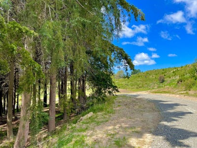 /international/nz/lot-3-gaudion-road-peebles-oamaru-otago-380119832475/