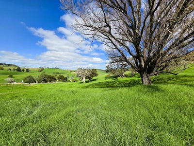 /international/nz/morrison-road-dargaville-northland-380119814866/