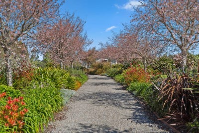 /international/nz/45-governors-green-drive-greytown-wairarapa-380120126920/