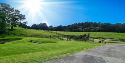 /international/nz/37-day-road-wellsford-auckland-380119879690/