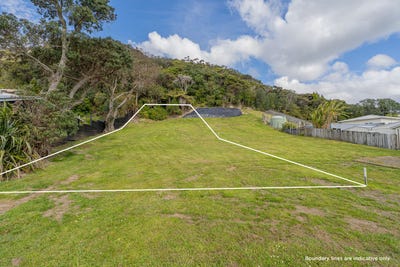 /international/nz/1135-purangi-road-cooks-beach-coromandel-380119852785/