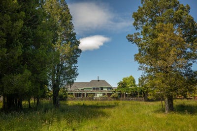 /international/nz/hokitika-west-coast-380119809515/