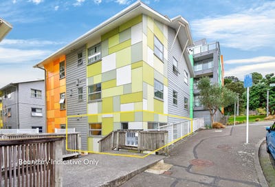 /international/nz/19-drummond-street-mount-cook-wellington-380119819700/