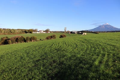 /international/nz/0n-eltham-road-eltham-taranaki-380119824874/