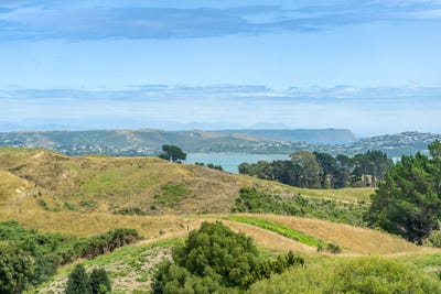 /international/nz/8-10-margarita-grove-pauatahanui-wellington-380119838934/