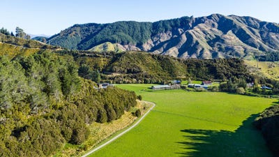 /international/nz/140-leslies-road-havelock-marlborough-380120145711/