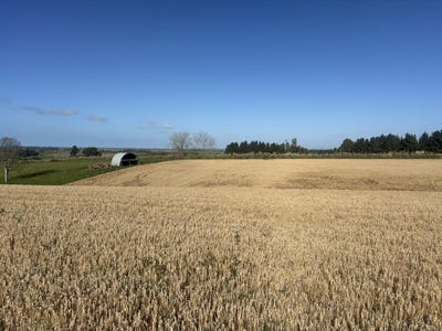 /international/nz/lot-1-adair-road-fairview-waikato-380119853559/