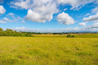 /international/nz/0-rolling-ridges-road-levels-canterbury-380119805167/