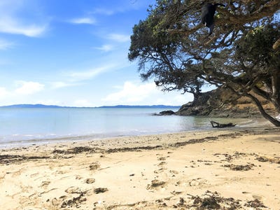 /international/nz/143-bays-road-orere-point-auckland-380119864780/