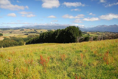 /international/nz/112-ridgedale-road-te-anau-southland-380119838675/