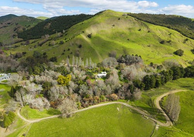 /international/nz/717-totangi-road-ngatapa-gisborne-380119881691/