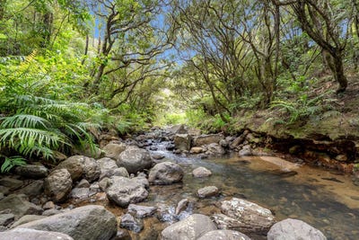 /international/nz/5-silverstream-falls-row-whenuakite-coromandel-380119862357/