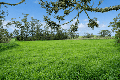 /international/nz/lot-21-waitoki-road-waitoki-auckland-380119826325/
