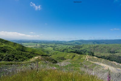 /international/nz/170-mangaone-north-road-te-horo-wellington-380119827773/