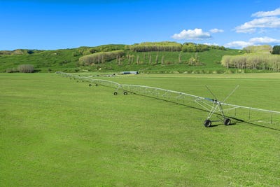 /international/nz/1269-elsthorpe-road-otane-hawkes-bay-380120078632/