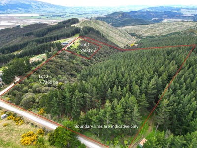 /international/nz/1-bells-bush-road-and-sinclair-road-waihola-otago-380119832484/