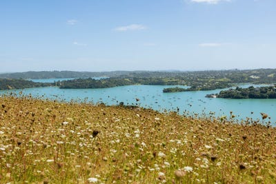 /international/nz/36-vintage-lane-waiheke-island-auckland-380120025519/