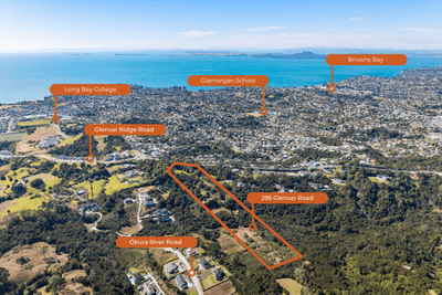 /international/nz/295-glenvar-road-long-bay-auckland-380119825029/