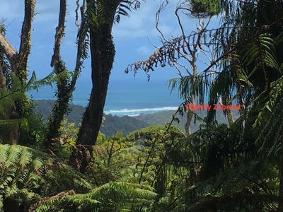 /international/nz/233-piha-piha-auckland-380119823282/