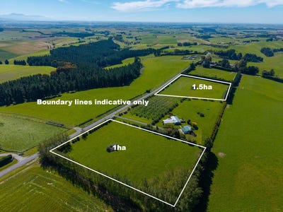 /international/nz/rolling-ridges-road-levels-canterbury-380119859782/