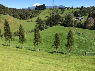 /international/nz/4-junction-street-welbourn-taranaki-380119840157/
