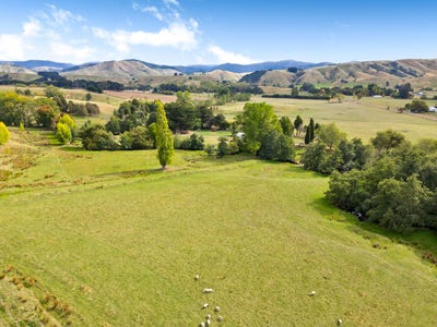 /international/nz/739-matahiwi-road-masterton-wairarapa-380119804999/