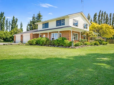 /international/nz/312-oamaru-alma-road-oamaru-otago-380119845629/