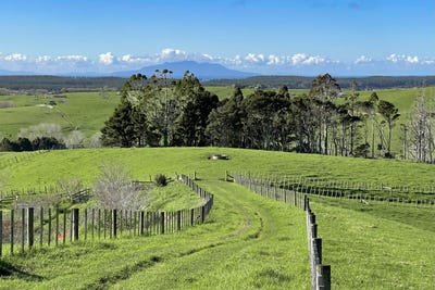 /international/nz/140-te-arai-point-road-te-arai-auckland-380119855281/