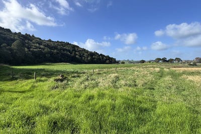 /international/nz/lot-3-opoto-place-kaukapakapa-auckland-380119817261/