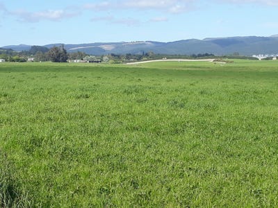 /international/nz/burgess-road-herbert-otago-380119835180/