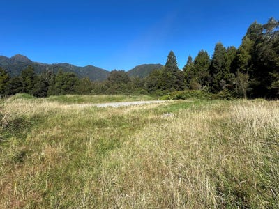 /international/nz/lot-franz-josef-state-highway-franz-josef-glacier-west-coast-380119831519/