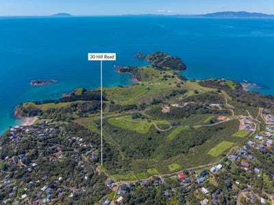 /international/nz/30-hill-road-wawata-estate-palm-beach-auckland-380119826688/